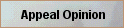 Appeal Opinion